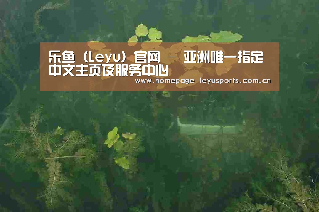 案例展示三(图1)