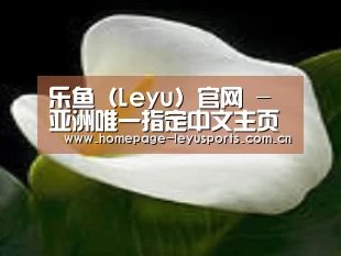 产品名称七