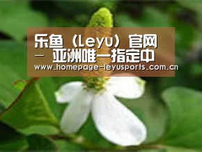 产品名称三