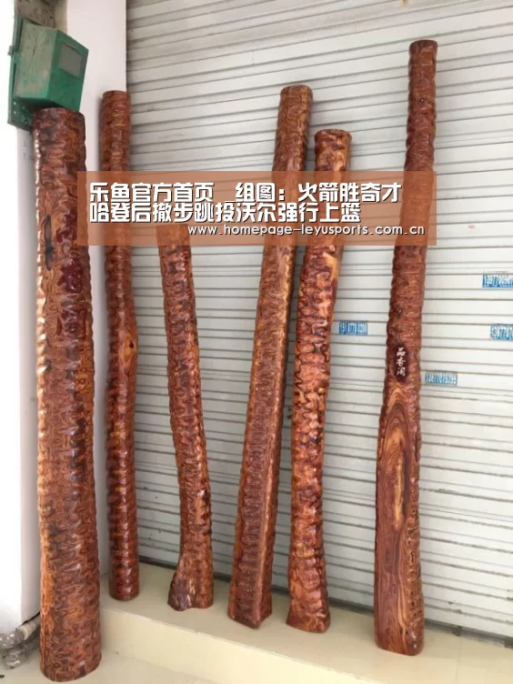 乐鱼官方首页 _组图:火箭胜奇才 哈登后撤步跳投沃尔强行上篮(图1) leyu官网