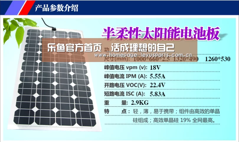 乐鱼官方首页 _活成理想的自己(图3) 登录入口
